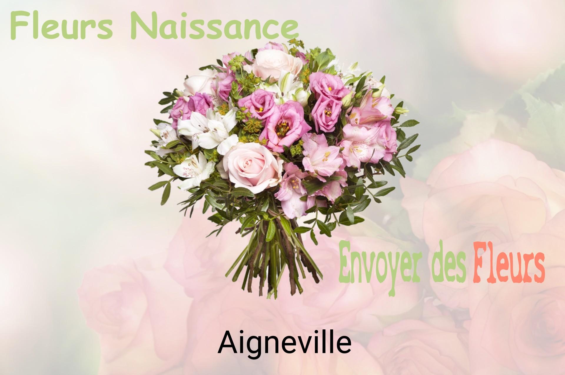 Bouquet de fleurs de naissance livré à Aigneville